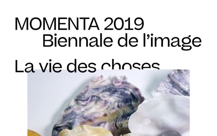 Momenta 2019 website preview