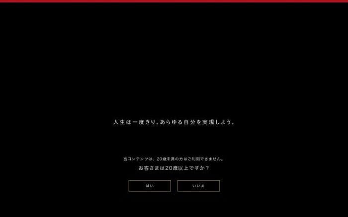 Remymartin website preview