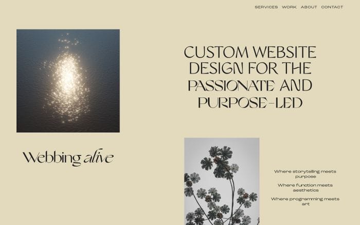 Webbing Alive website preview