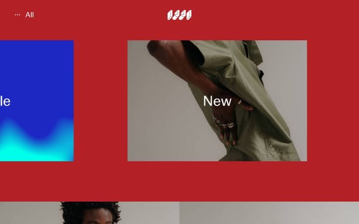 IJJI website preview