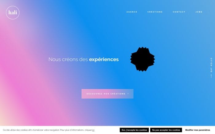Agence digitale web & mobile à Lyon • kali website preview
