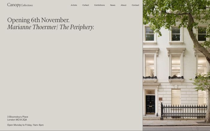 Canopy Collections website preview