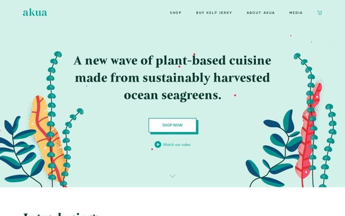 AKUA - MAKERS OF KELP JERKY website preview