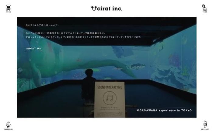 Ciraf website preview
