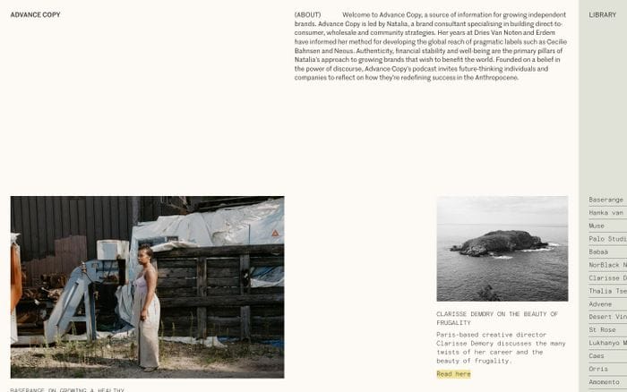Advance Copy website preview
