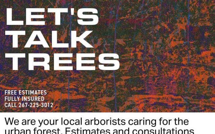 Treetechphila website preview