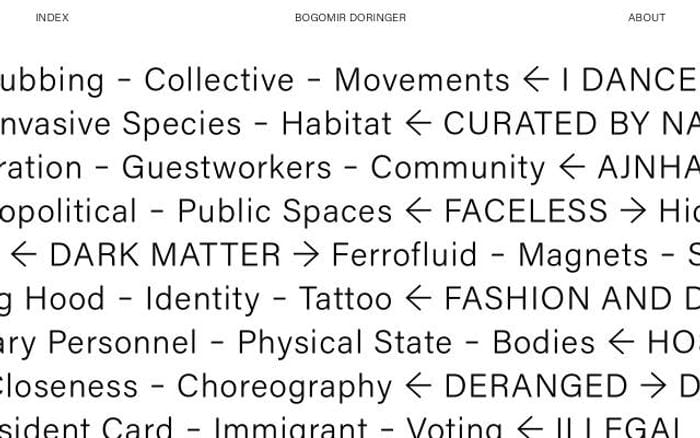Bogomirdoringer website preview