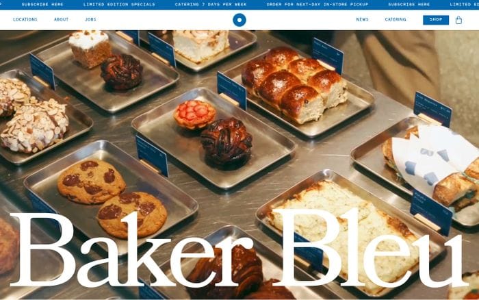 Baker Bleu website preview