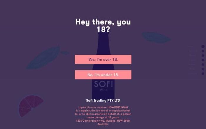 Sofispritz website preview