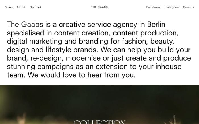 The Gaabs website preview