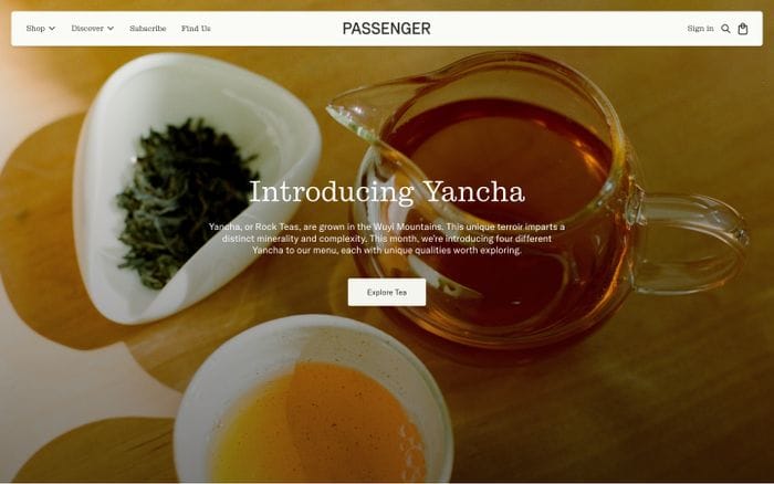 Passenger website preview