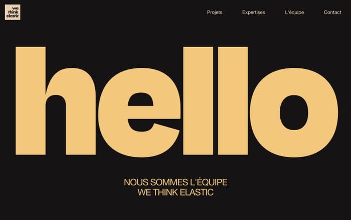 We Think Elastic website preview