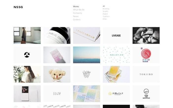 Nssg website preview