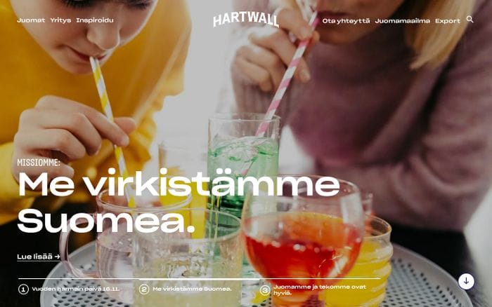 Hartwall website preview
