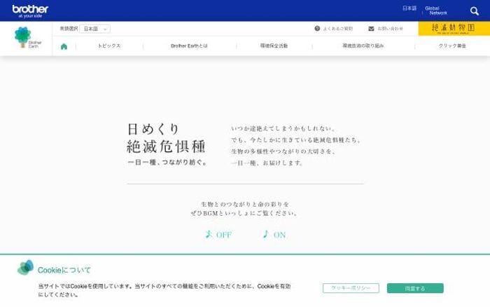 Brotherearth website preview