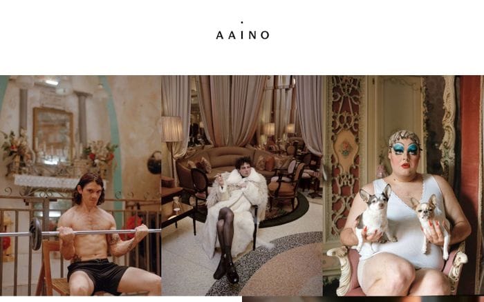 Aaino website preview