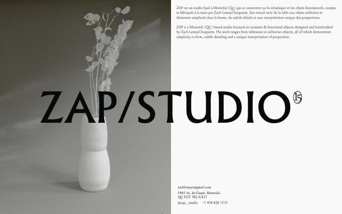 Zap Studio website preview