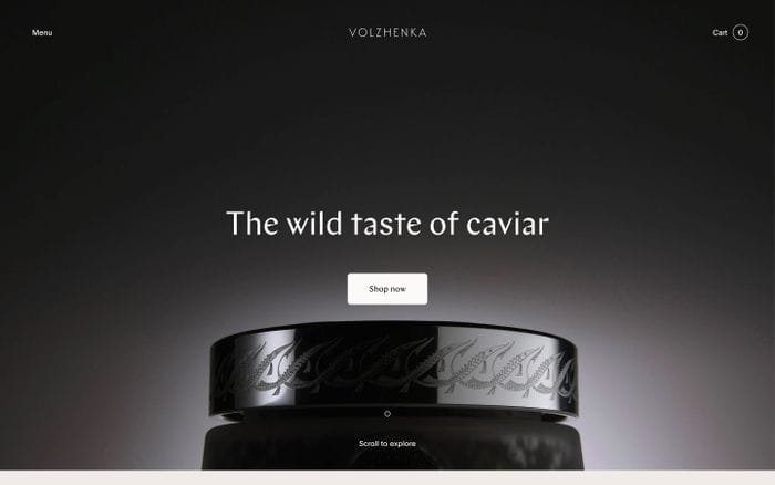 Volzhenka website preview