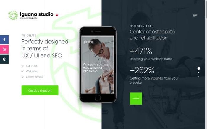 Iguanastudio website preview