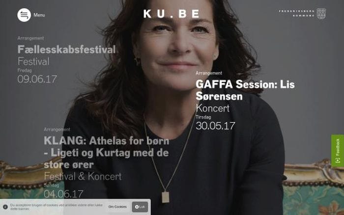 Frederiksberg website preview