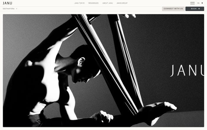 Janu website preview