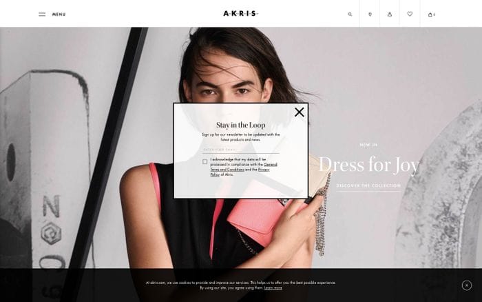Akris website preview