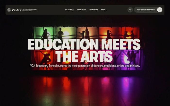 Vcass website preview