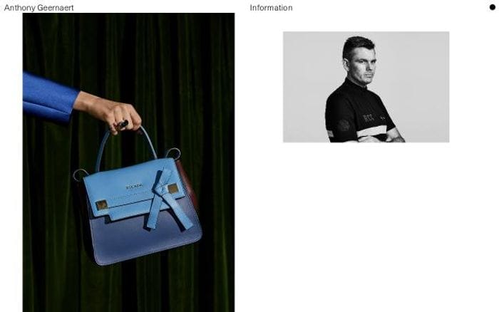 Anthonygeernaert website preview