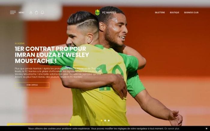 Fcnantes website preview