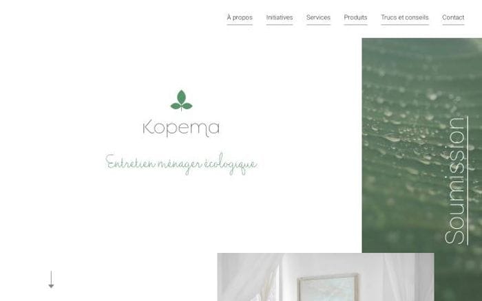 Kopema website preview