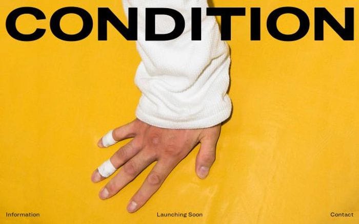 Condition website preview