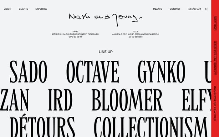 Nash and Young website preview