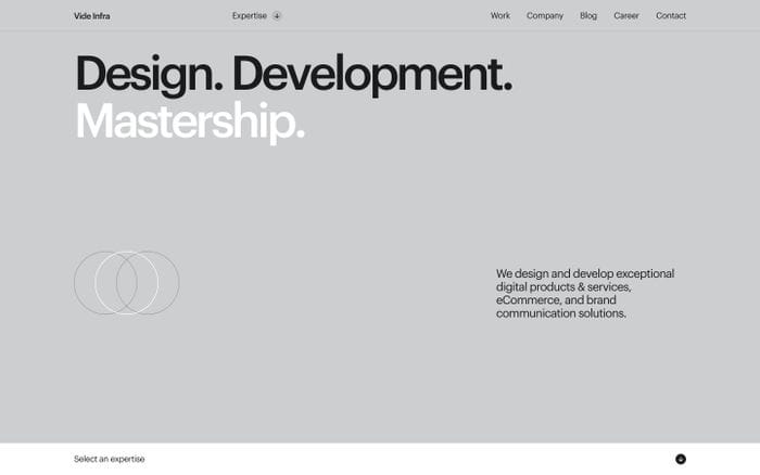 Vide Infra website preview