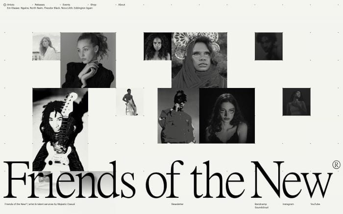 Friends of the New website preview