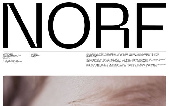 Norf studio website preview