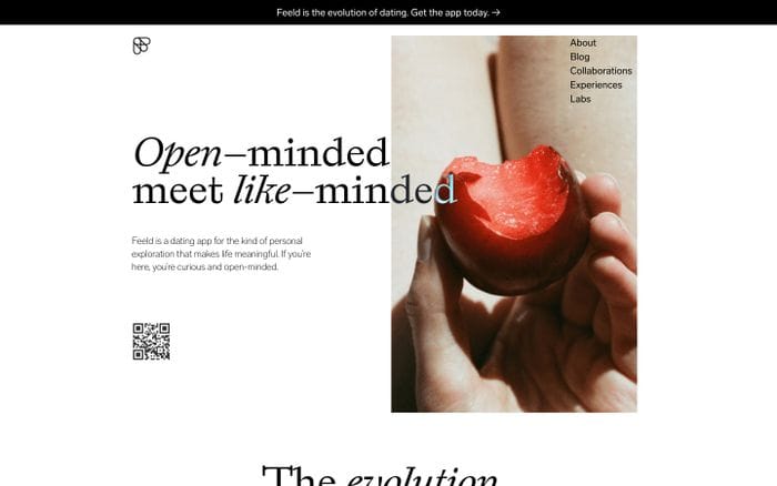 Feeld website preview