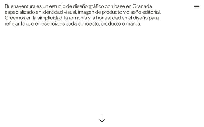 Buenaventura website preview