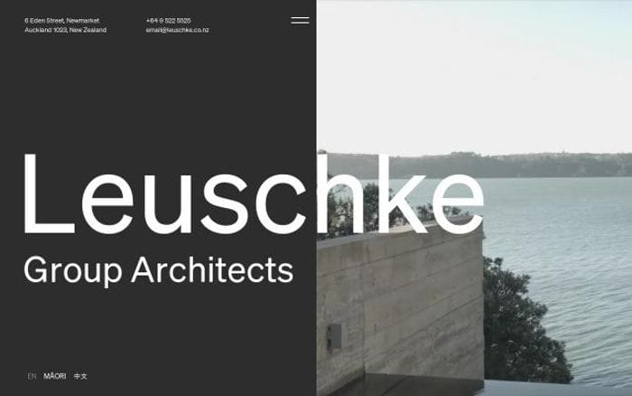 Leuschke website preview