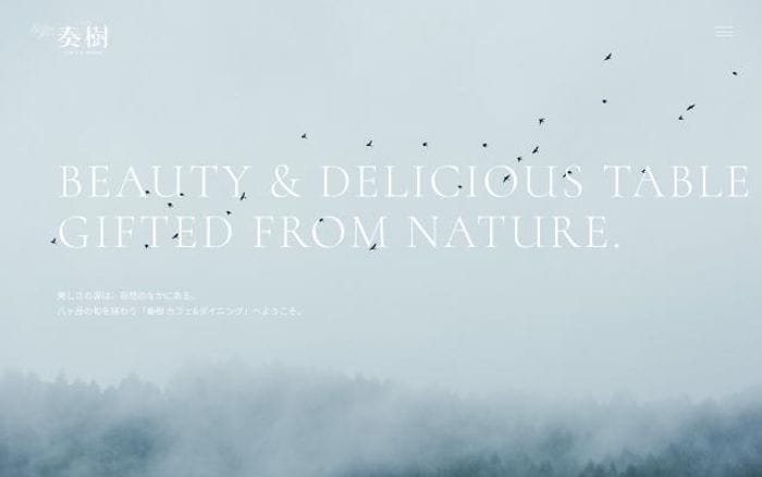 Www website preview