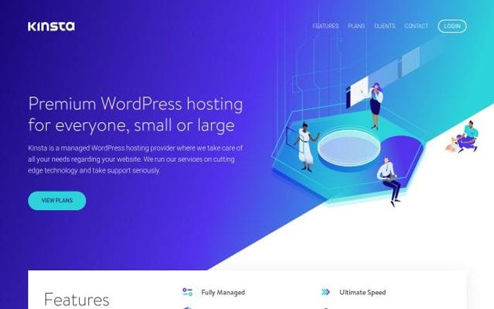 Kinsta website preview