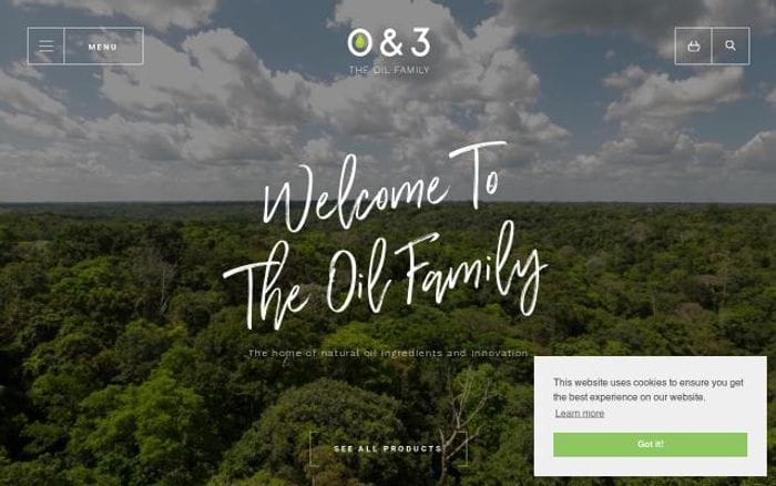 Oand3 website preview