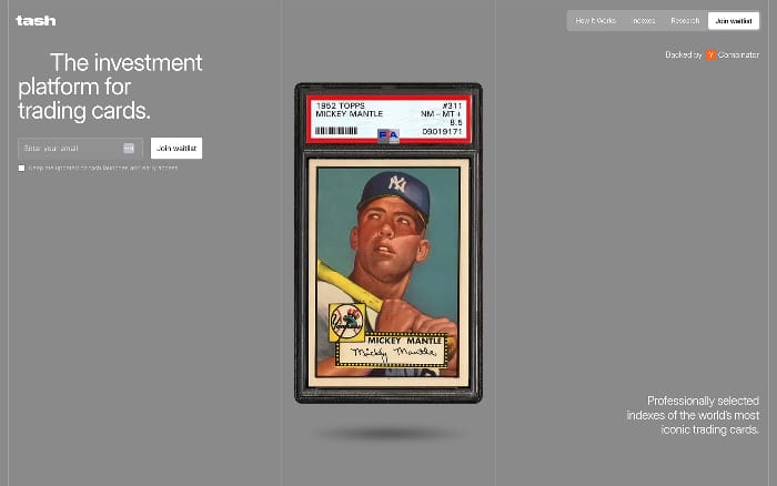 Tash website preview