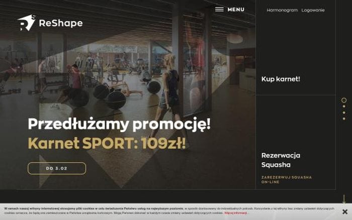 Reshape website preview