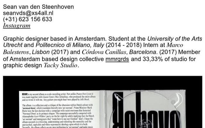 Seanvandensteenhoven website preview