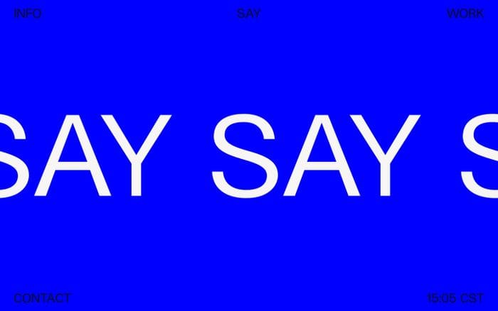 Say website preview
