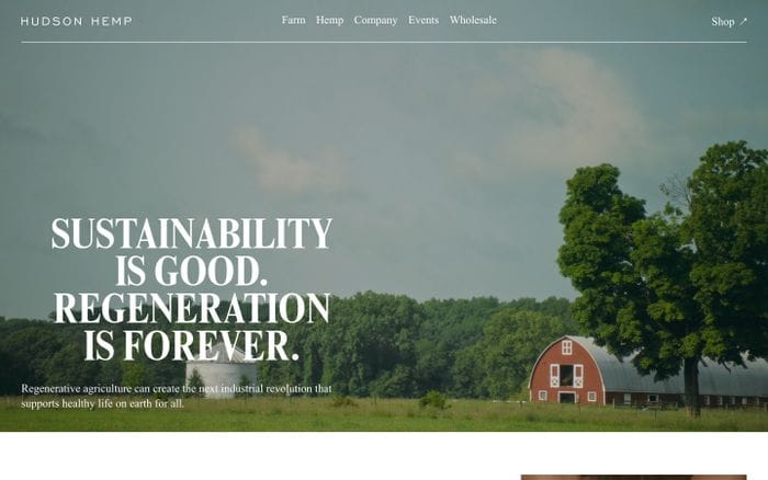 Hudson Hemp website preview