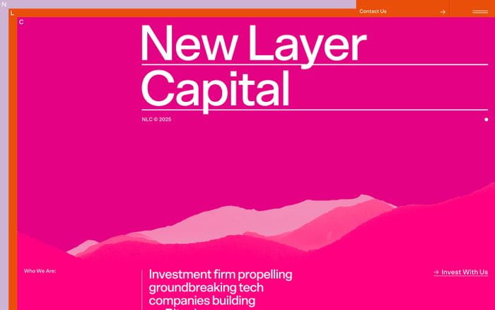 New Layer Capital website preview