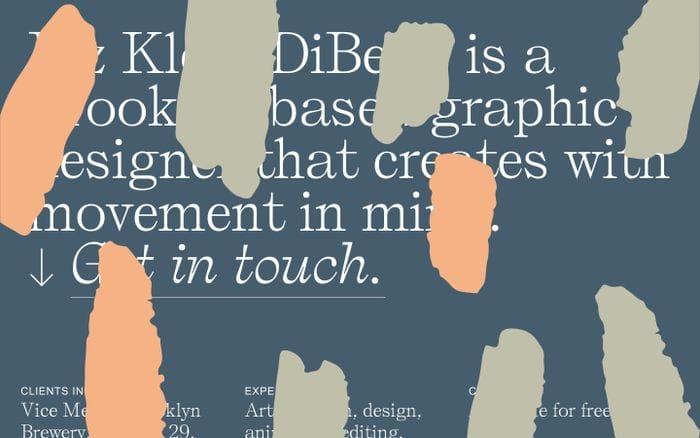 Liz Klein DiBello website preview