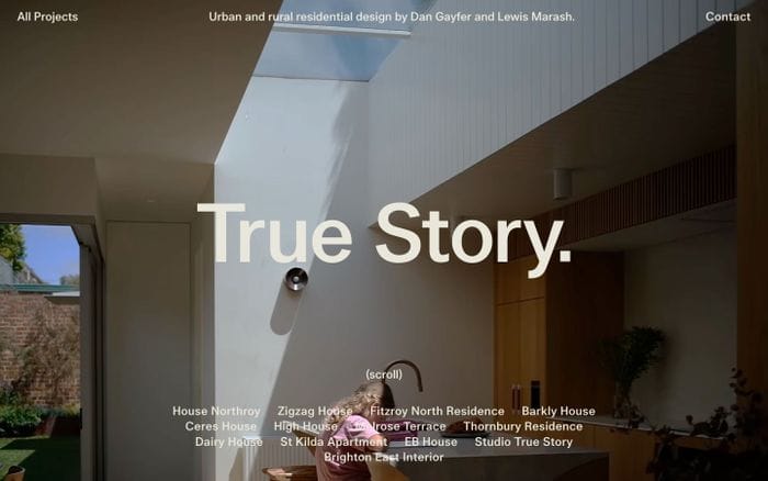 True Story website preview