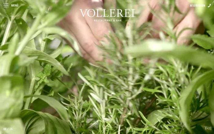 Voellerei website preview